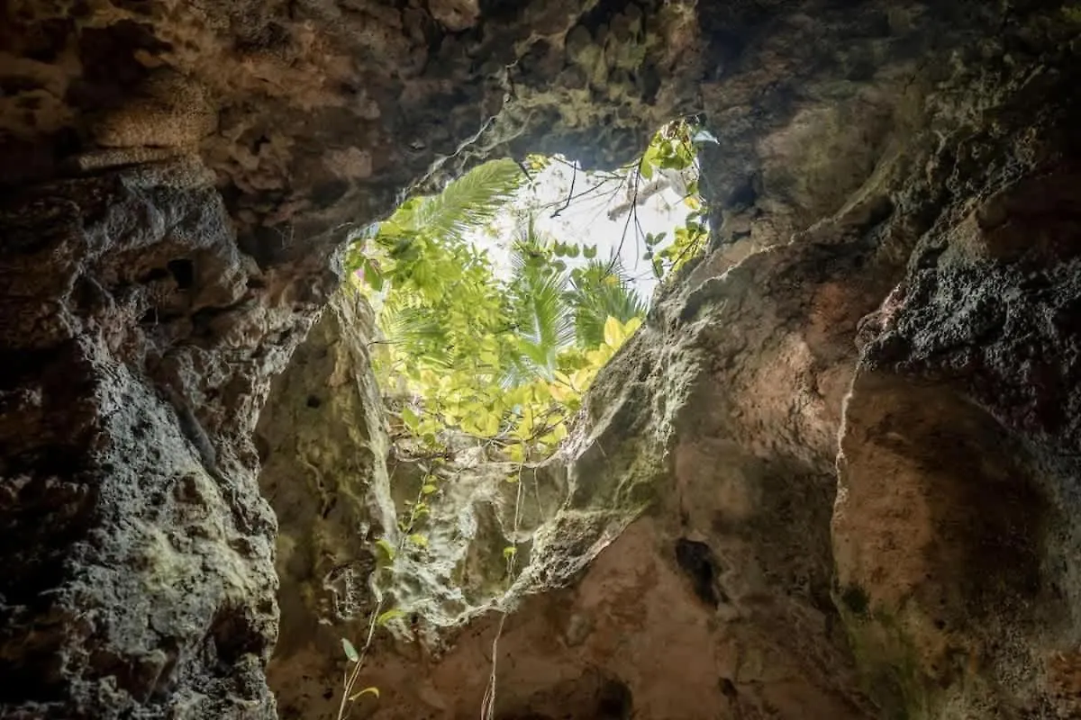 Xcaret Oasis Private Cave For 2 Villa Playa del Carmen Holiday home
